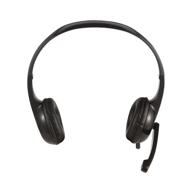 TechProtectus Economic USBC Headphone with a Boom Microphone